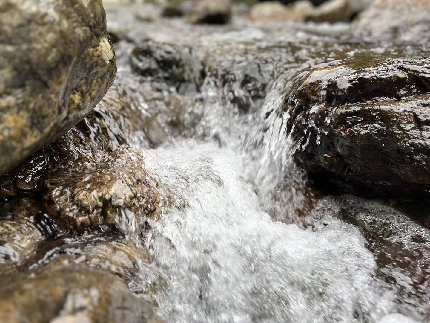 土佐山を流れる鏡川の清流。岩のあいだを水が流れている。