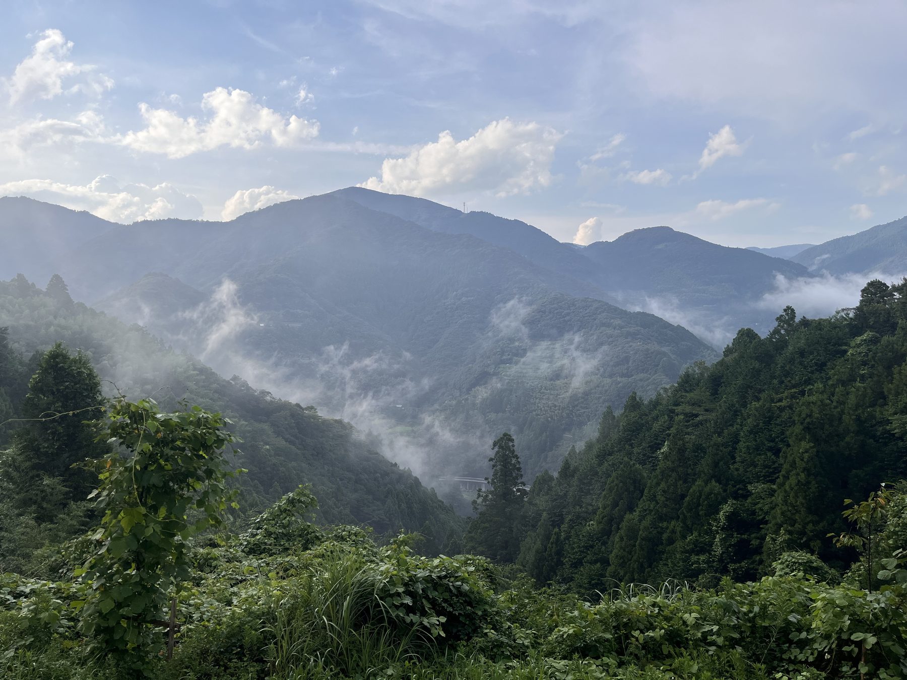 朝もやがかかる土佐山の山々